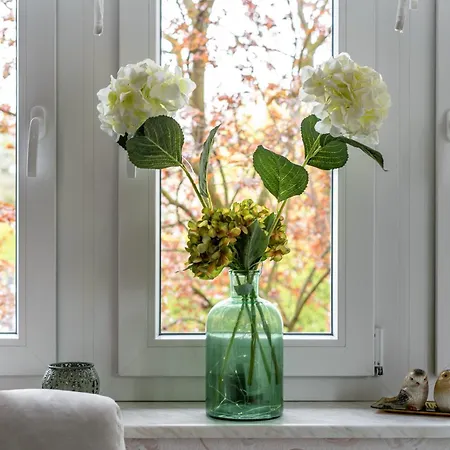 Apartment Urlaub Mit Hund Neupetershain