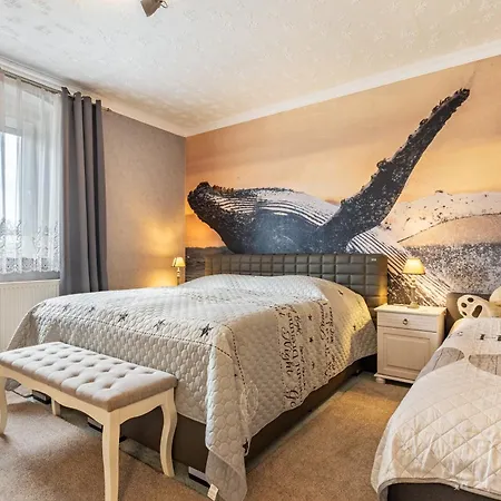 Urlaub Mit Hund * Neupetershain