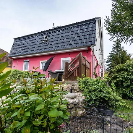 Urlaub Mit Hund Lejlighed Neupetershain