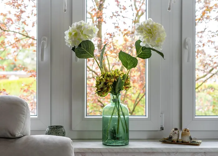 Apartamento Urlaub Mit Hund Neupetershain